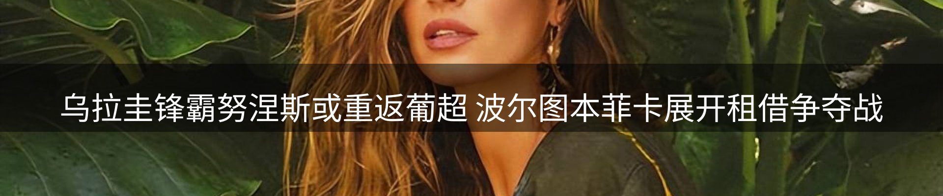 行业简报