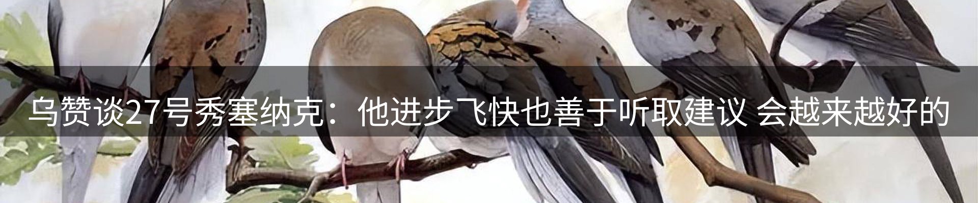 行业简报