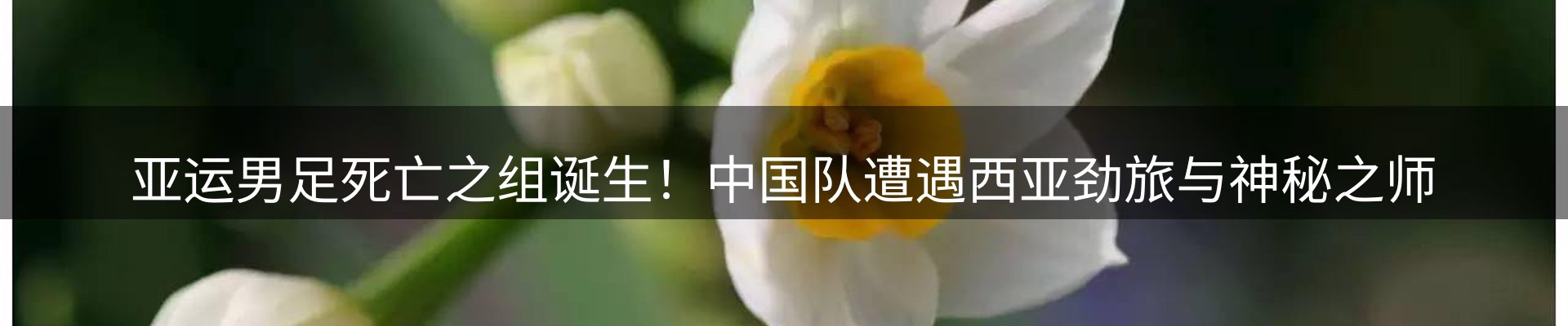 行业简报