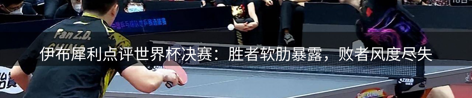 行业简报