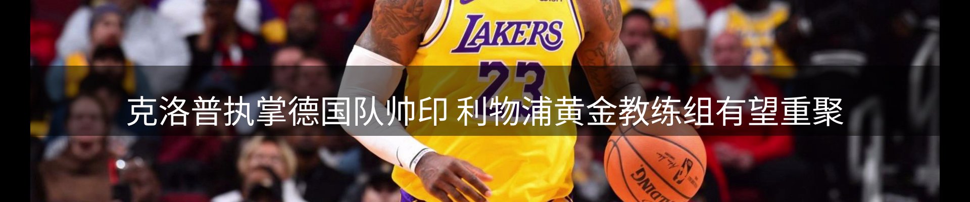 行业简报