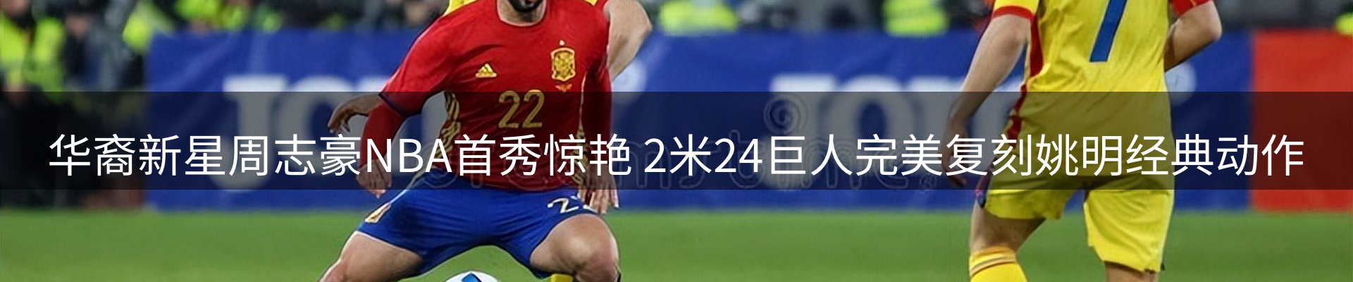 行业简报