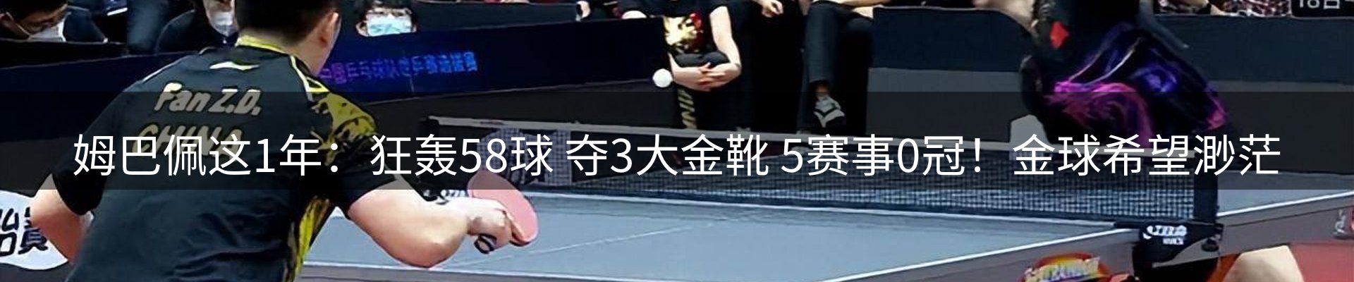 行业简报