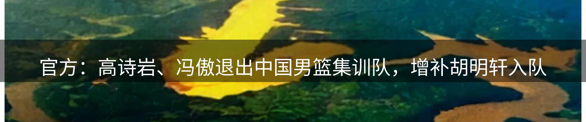 行业简报