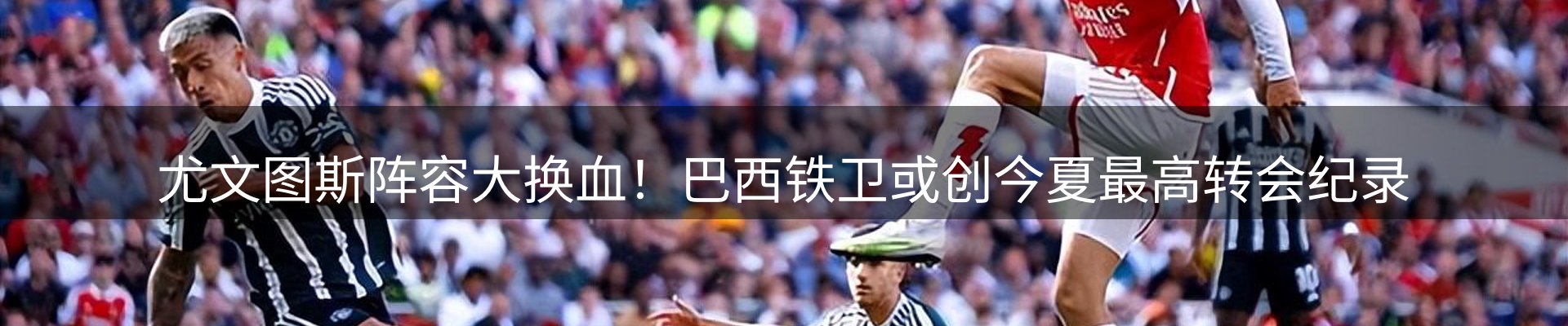 行业简报