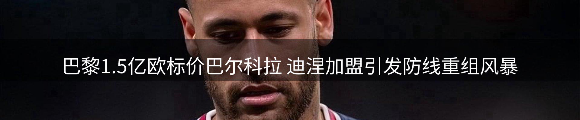 行业简报