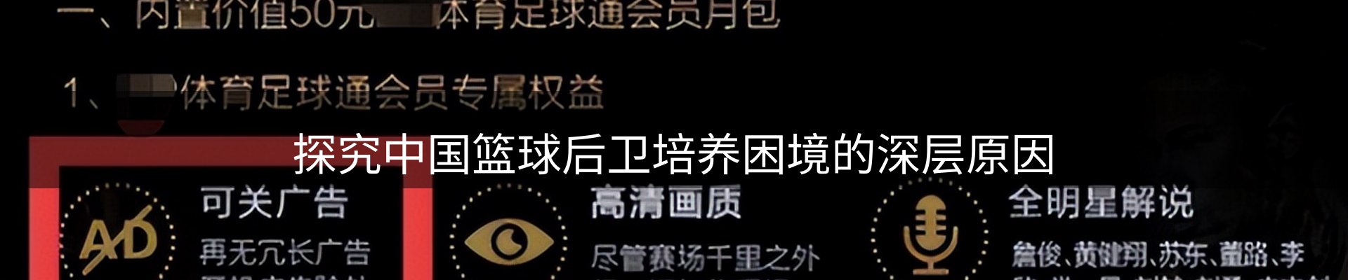 行业简报