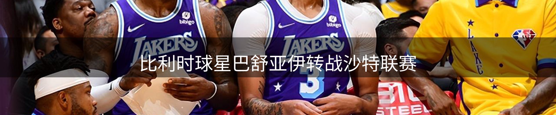 行业简报
