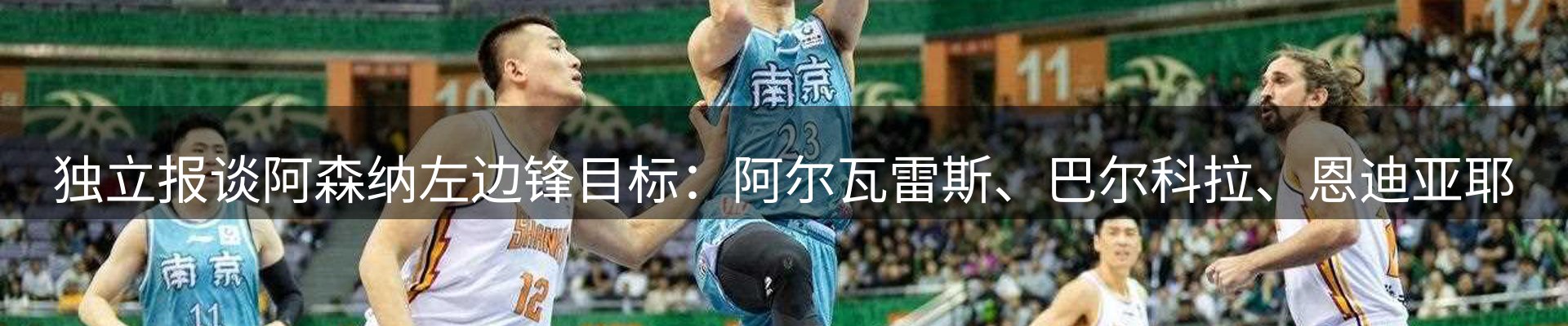 行业简报