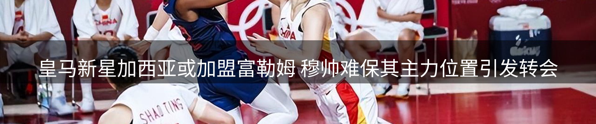 行业简报