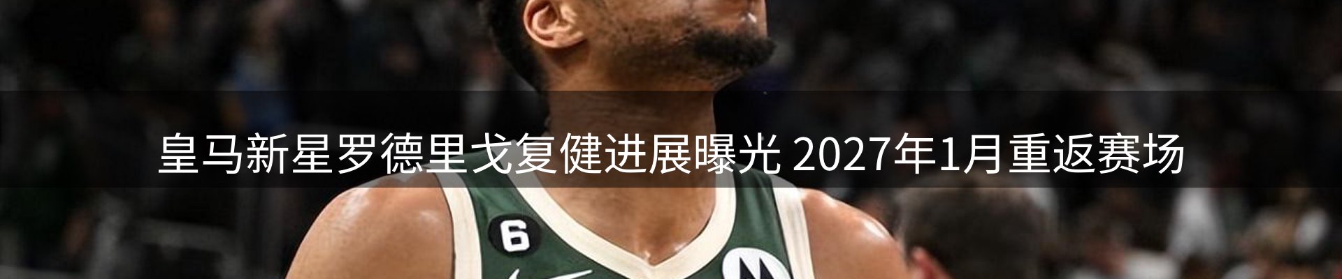 行业简报
