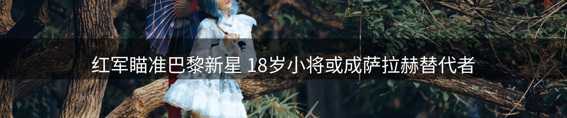 行业简报