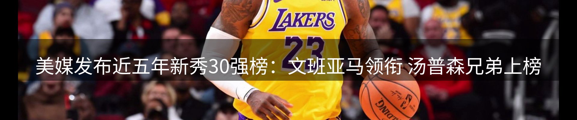 行业简报