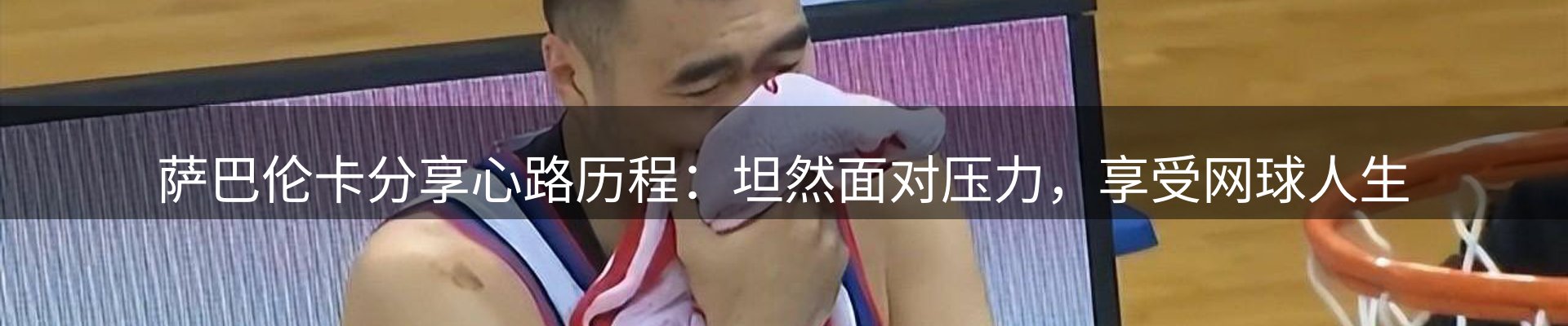行业简报