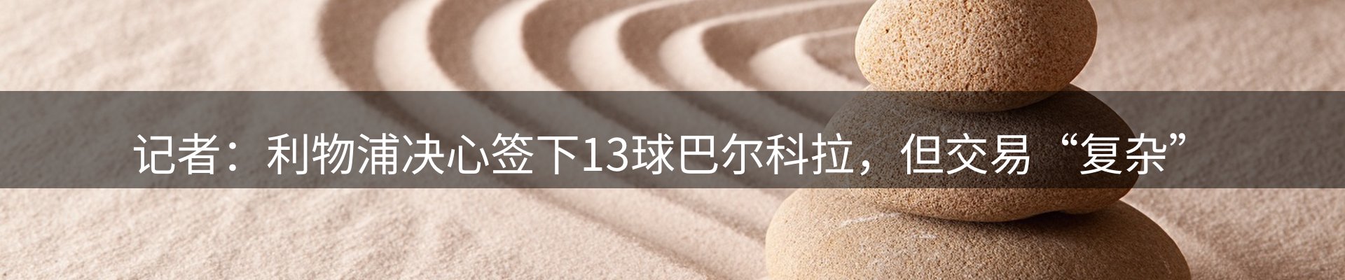 行业简报