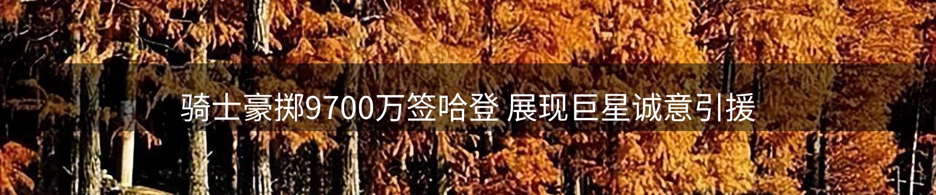 行业简报