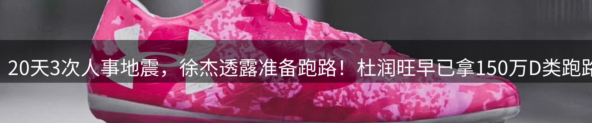 行业简报