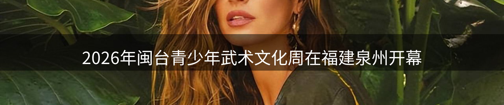 行业简报