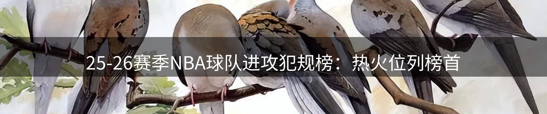 行业简报